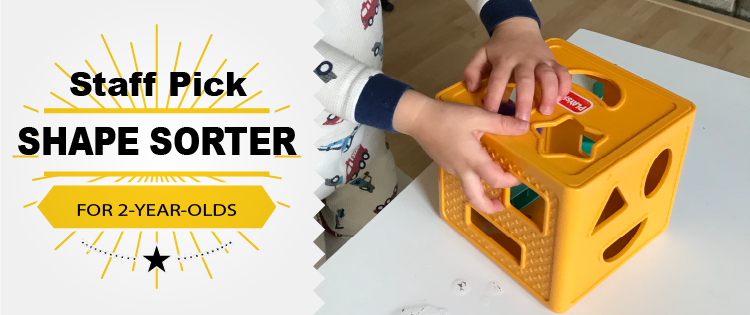 Staff Pick: Shape Sorter for 2-Year-Olds