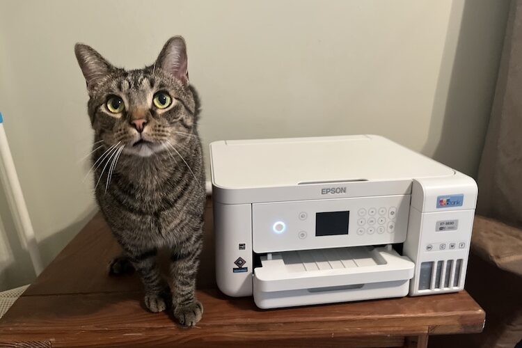 Which Epson EcoTank Printer is Best for Families?